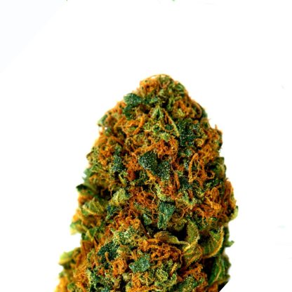 BubbleGum