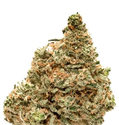 Jamaica Special
