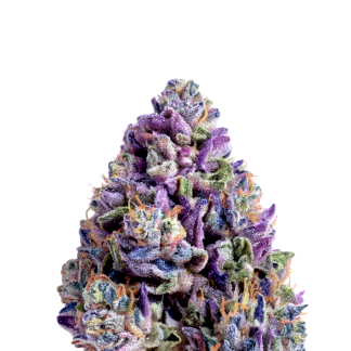 Animal Mints