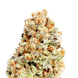 Blueberry Auto
