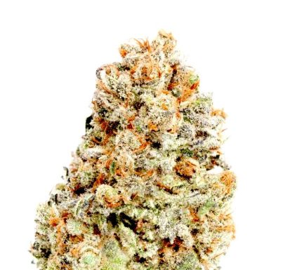 Blueberry Auto