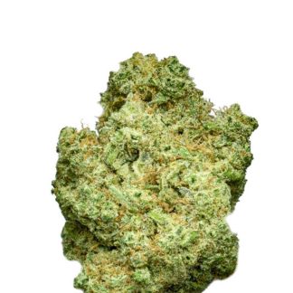 Bruce Banner XL