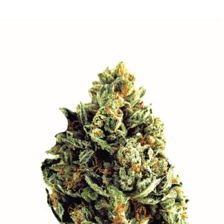Chronic