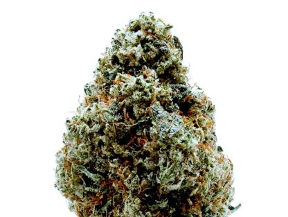 Gorilla Glue