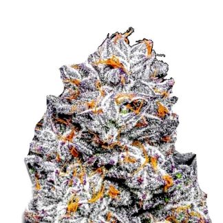 Sunset Sherbet