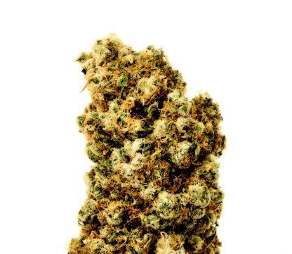 Super Silver Haze
