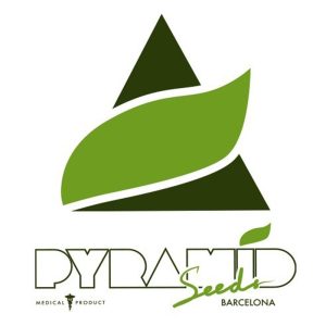 Pyramid Seeds